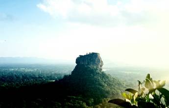 Signature Sri Lanka | The Island of Serendipity