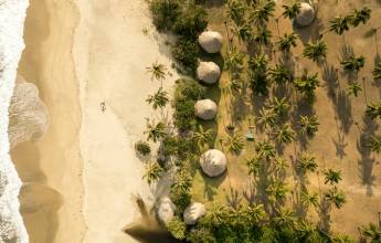 Signature Colombia | Stories Beneath Wax Palms