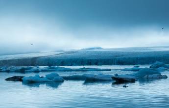 Scotland to Spitsbergen: Puffins, Sea Ice and Wildlife
