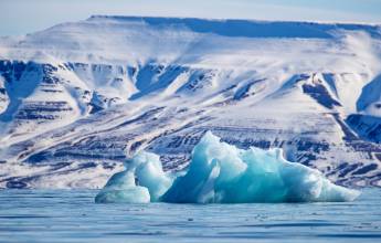 Scotland to Spitsbergen: Puffins, Sea Ice and Wildlife