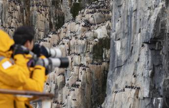 Scotland to Spitsbergen: Puffins, Sea Ice and Wildlife