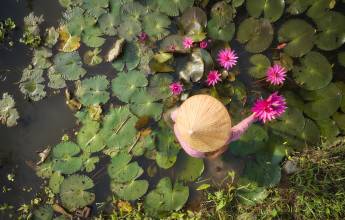 Best of Vietnam – Premium Family Adventure