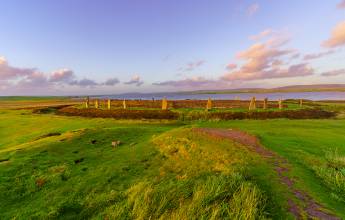Scotland to Spitsbergen: Puffins, Sea Ice and Wildlife