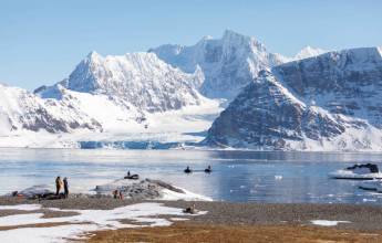 Scotland to Spitsbergen: Puffins, Sea Ice and Wildlife