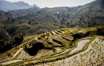 Signature Vietnam | In Fabric & Folklore