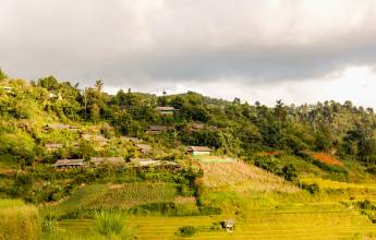 Signature Vietnam | In Fabric & Folklore