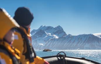 Svalbard in Summer: Tundra, Whales and Wildlife