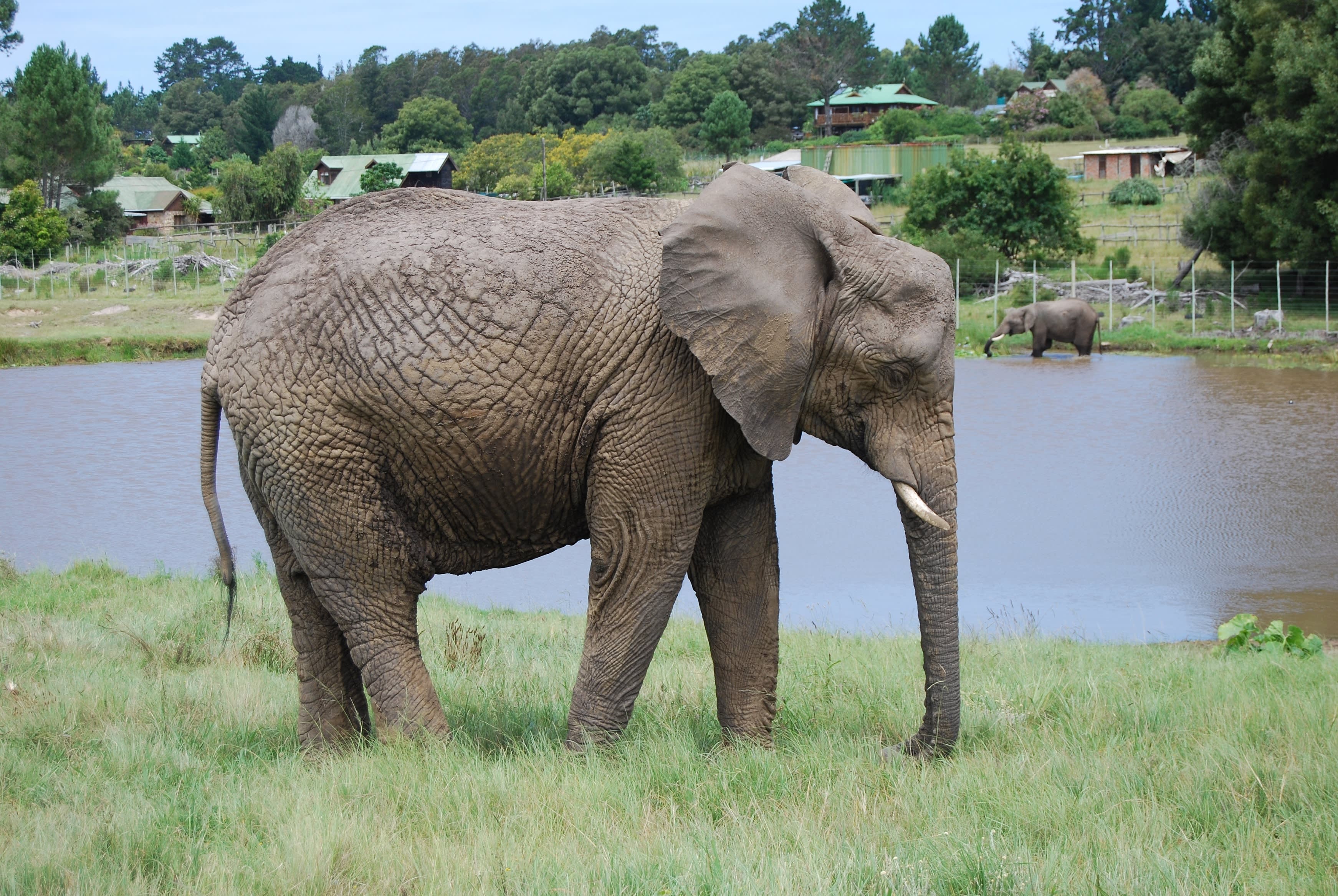 Garden Route Highlights: Die besten Tipps unserer Reiseexperten