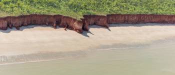 Kystklipper nær Finnis River Mouth, Darwin, Northern Territory, Australien