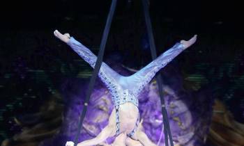 Aerial Acrobats