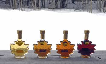 Grades of maple syrup