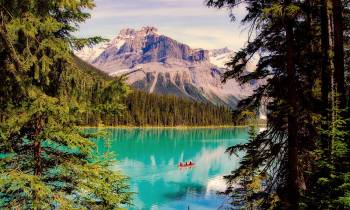a body of water surrounded by trees