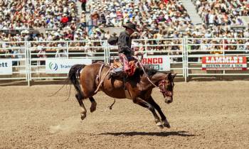 Calgary Stampede in Calgary Alberta