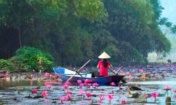 Hanoi