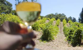 California Wine Country