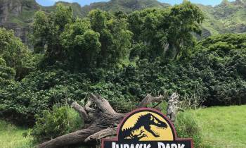 a sign over a grassy area with trees in the background