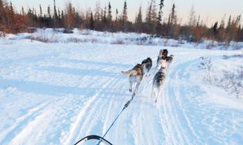 a group of people cross country skiing in the snow
