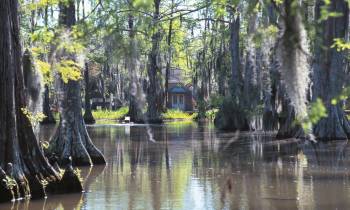 Cypress Lake
