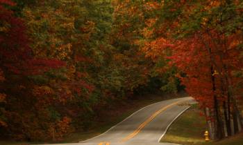 Driving in the Deep South