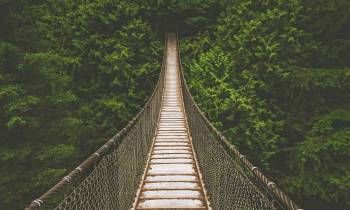 a bridge surrounded by trees