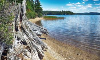 Algonquin Provincial Park, Ontario