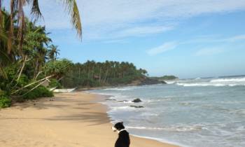 Sri Lanka