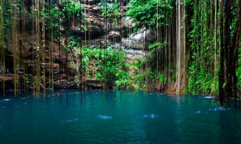A large body of water surrounded by trees