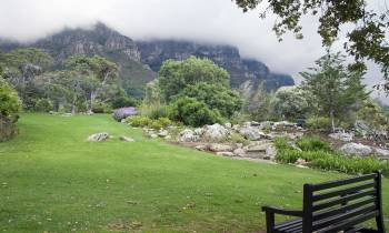 an empty park bench sitting on top of a lush green field