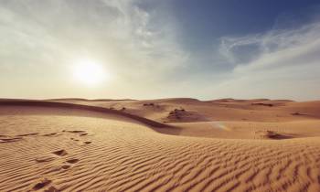 a bed in the sand