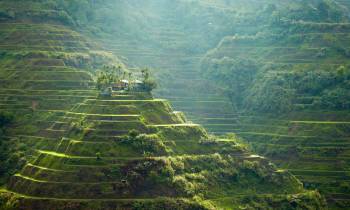 Banaue Rice Terraces