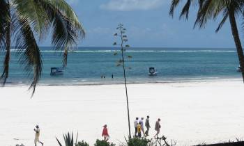 a group of people on a beach near a body of water