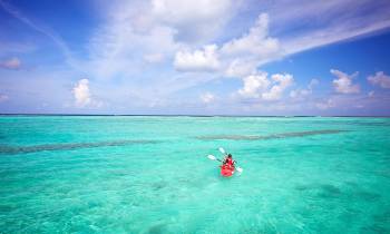 a group of people swimming in a body of water