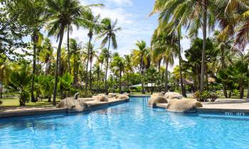 a group of palm trees next to a swimming pool