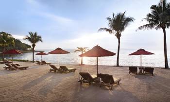 a group of palm trees on a sandy beach