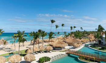 a group of palm trees next to a body of water
