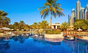 a pool next to a body of water surrounded by palm trees