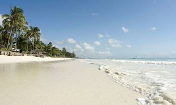 a sandy beach next to a body of water