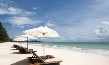 an umbrella sitting on top of a sandy beach