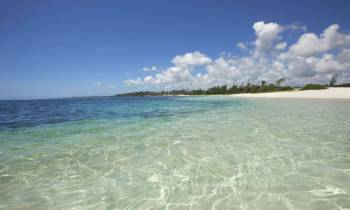 Beach View