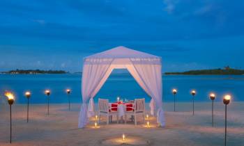 Romantic Dining on Beach