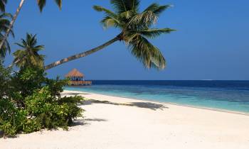 Beach View