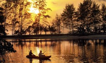 a body of water surrounded by trees