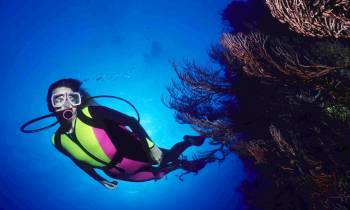 Snorkling off of Vieques