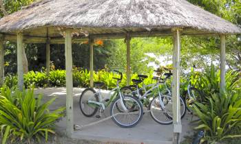 a bicycle parked in front of a house