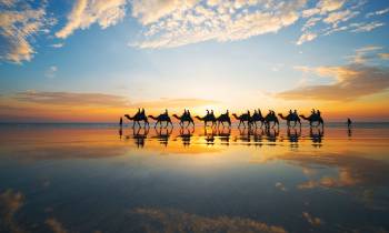 a group of people on a beach near a body of water