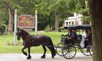 Horse and carriage at Arlington Inn