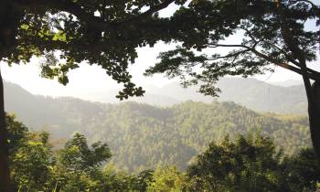 Gal Oya National Park