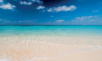 a sandy beach next to the ocean