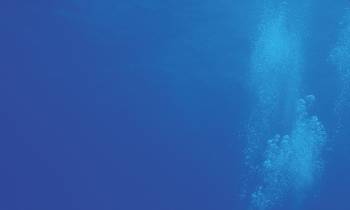 Diver swimming with turtle