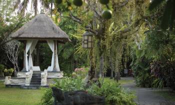 a wooden statue in a garden